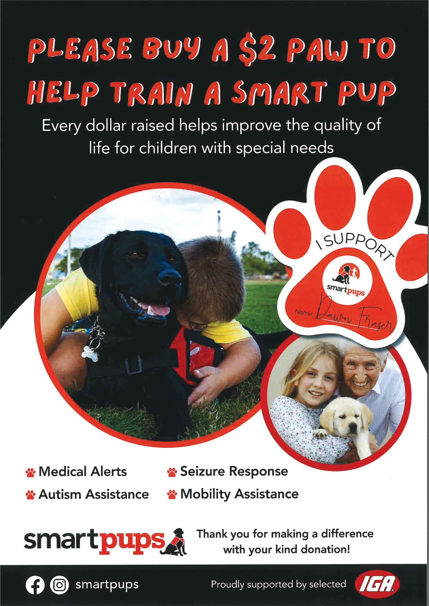 How to Train Autism Service Dog: Expert Tips for Success